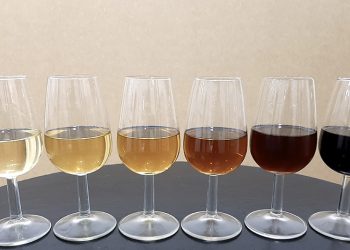 Jerez: El vino que bebió Shakespeare